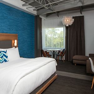 Deluxe King Suite